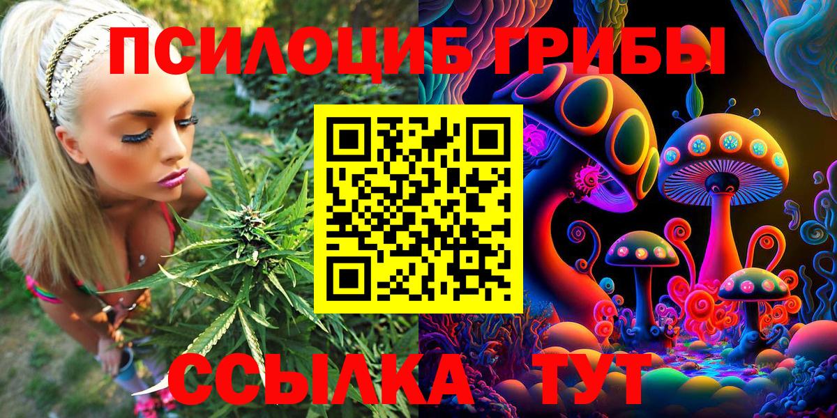 Ейск  Галлюциногенные грибы Psilocybe  Вход с VPN  Псилоцибиновые грибы Cubensis 