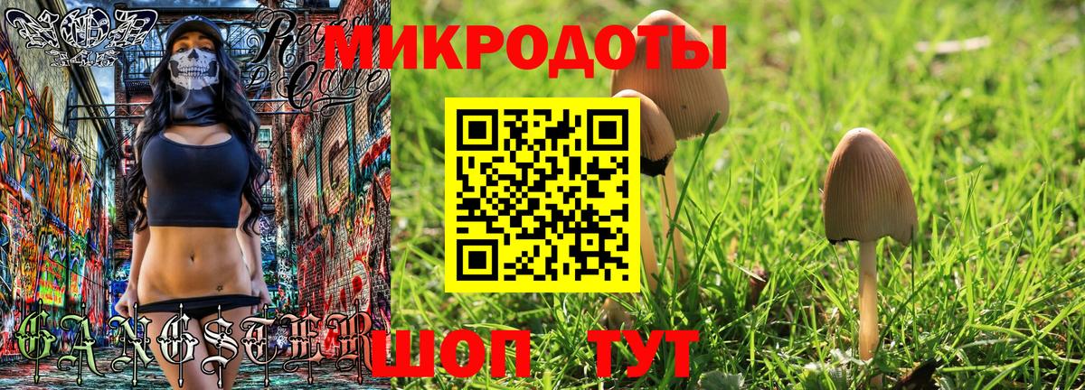 Галлюциногенные грибы MAGIC MUSHROOMS Ейск